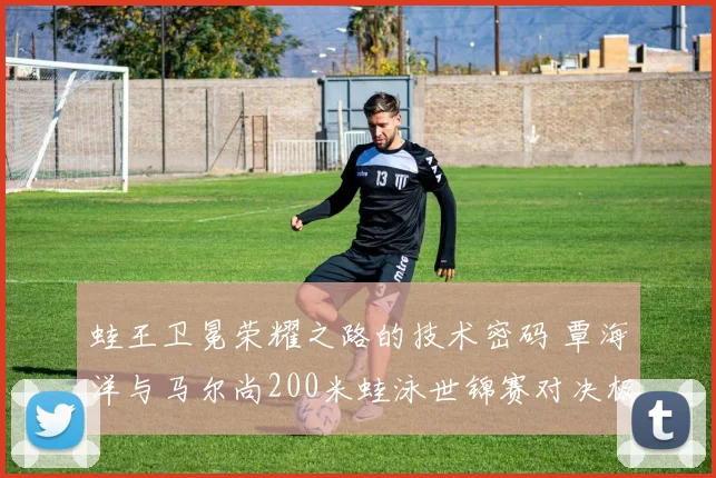 蛙王卫冕荣耀之路的技术密码 覃海洋与马尔尚200米蛙泳世锦赛对决极致对比