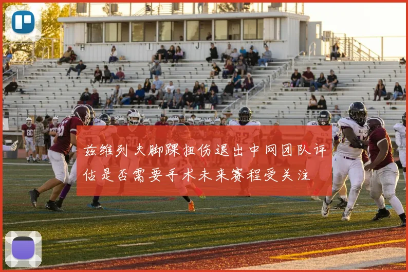 兹维列夫脚踝扭伤退出中网团队评估是否需要手术未来赛程受关注